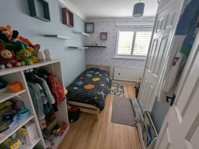 Picture 12